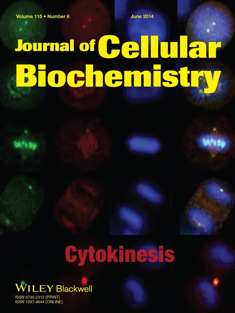 Roles of TREM2 in degeneration of human nucleus pulposus cells via NF‐κB p65