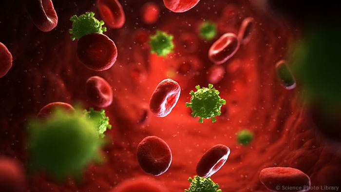 研究发现新的抗体可以防止HIV感染