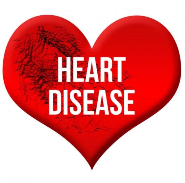基因缺陷如何导至先天性心脏畸形