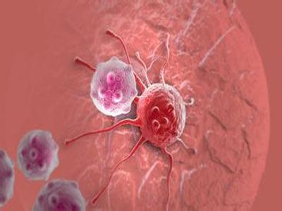 科学家发现天然杀伤细胞可以调节抗HIV抗体的生成