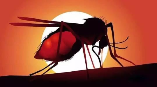 被蚊子叮咬了会得艾滋病吗？