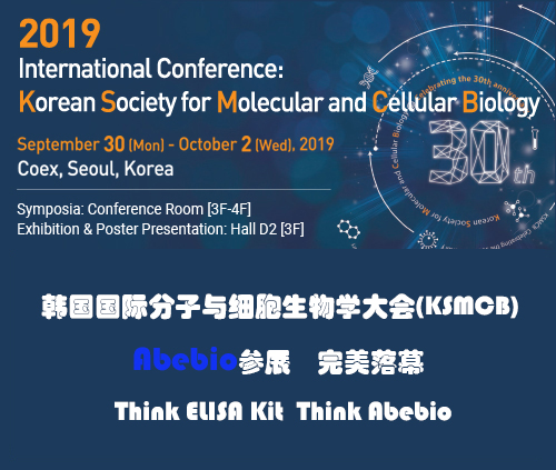Abebio参展韩国国际分子与细胞生物学大会(KSMCB)完美落幕