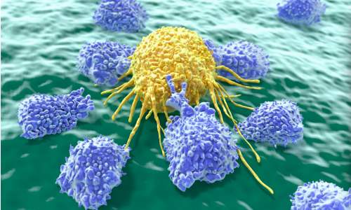 BJC：发现利用免疫系统来治疗癌症的新方法