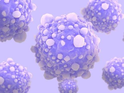 巨核细胞钙网蛋白与SOCE的互作异常促进骨髓增生性肿瘤的发生发展