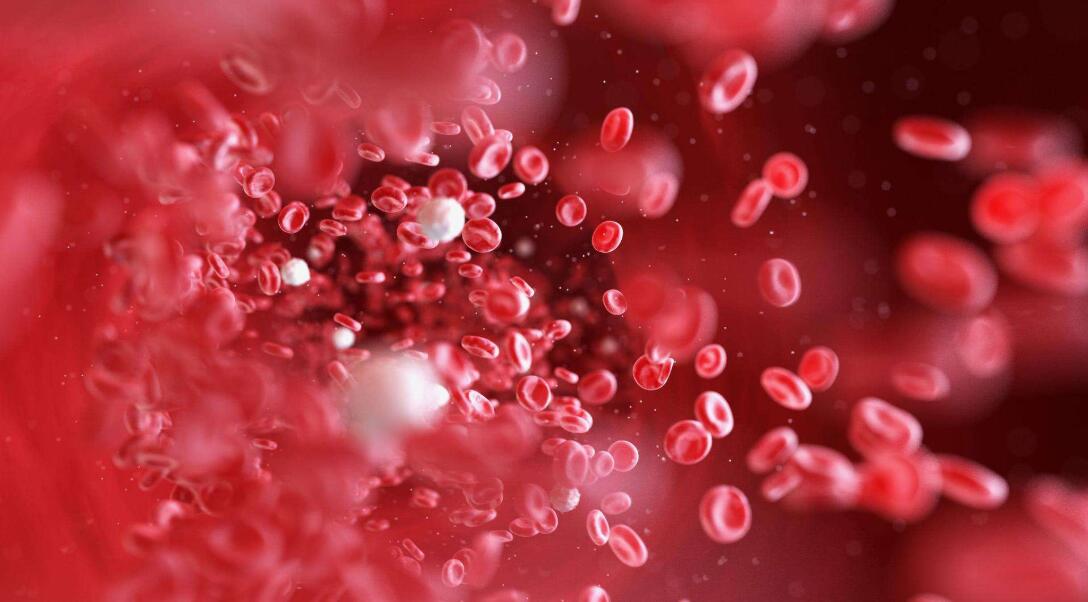 巨噬细胞中血红素清除代谢的独特过程