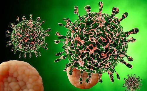 新研究表明针对季节性冠状病毒的保护性免疫力是短暂的