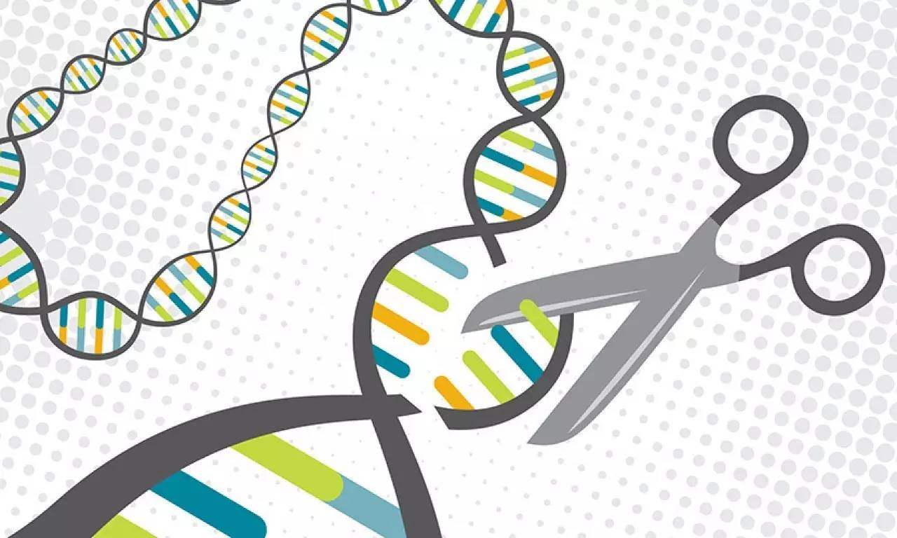科学家开发出一种安全更具靶向性的方法来运输CRISPR基因疗法