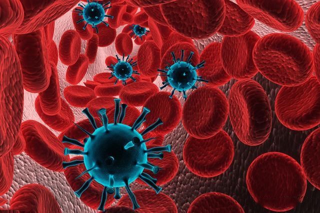 揭示发现人体对流感病毒的免疫途径反应与遗传血统相关