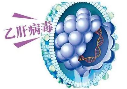 乙肝病毒（HBV）标志物汇总