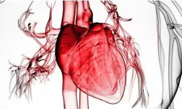 生长分化因子15在射血分数保留的心衰患者中的特征