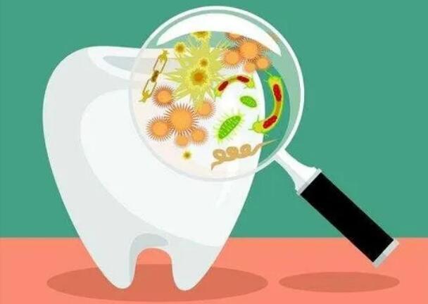 小檗碱预防和治疗牙周炎的研究进展