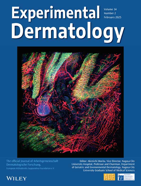 Activation of Local 11β-Hydroxysteroid Dehydrogenase Type 1 by Diosmetin Enhances Endogenous Glucocorticoid Levels to Alleviate Skin Inflammation: Insights Into a Novel Therapeutic Strategy for Atopic Dermatitis