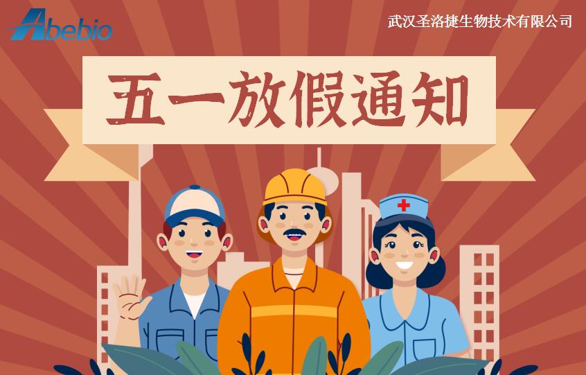 关于Abebio 2025五一劳动节假期公告